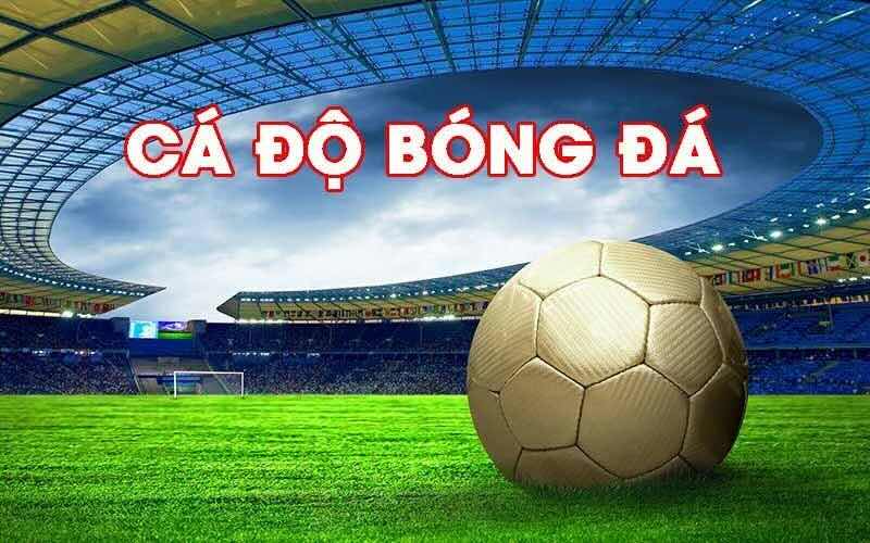Giới thiệu tổng quan về trang cá độ bóng đá