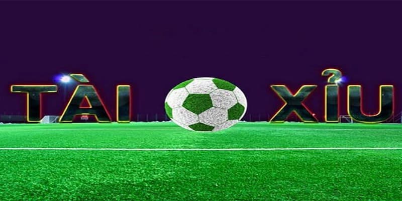 Lý do nên lựa chọn soi kèo tài xỉu